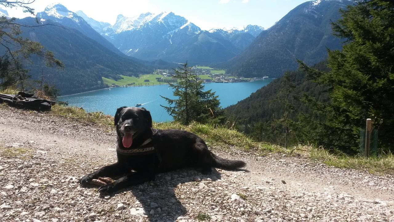 Appartementhaus Lengsdorf Maurach  Exteriör bild